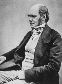 "300 million years old." - Darwin