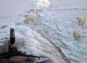 US Navy submarine in the Arctic