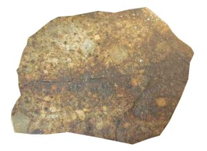 Australian Tenham chondrite meteorite - black blobs may contain the mystery mineral.