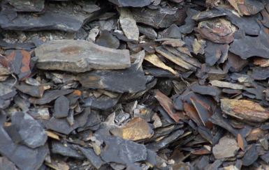 Marcellus Shale - Photo credit: PD by Lvklook