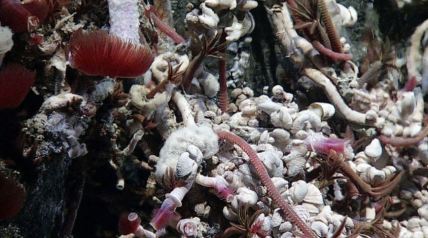 A smoker's lifeU of Washington photo