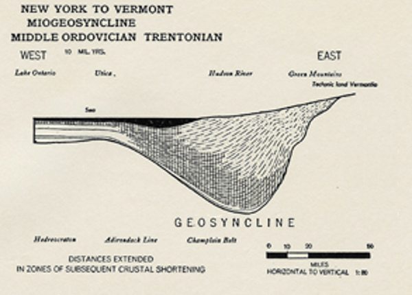 Cross-section of New York to Vermont (Mio)Geosyncline.