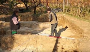 dig in vineyard and orchard