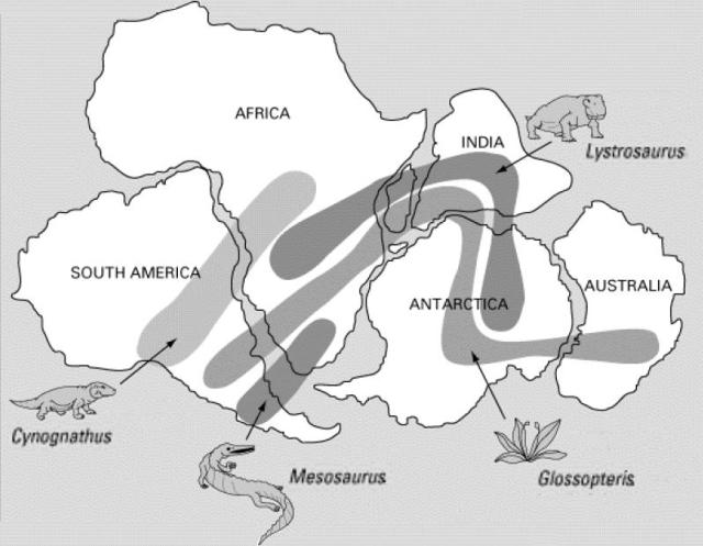 continental drift creatures