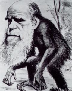 Ridiculing Darwin, Hornet magazine 1871
