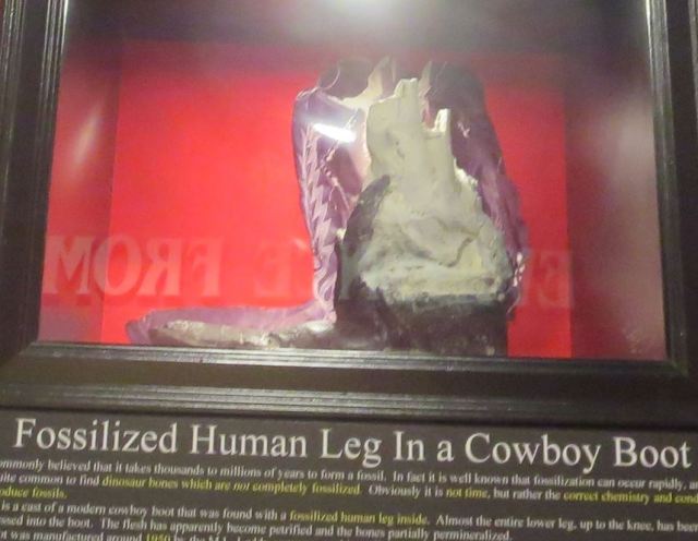 fossilized human leg
