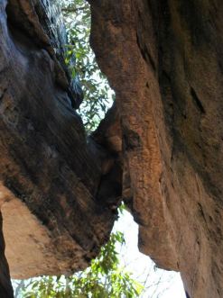 Cooper State park rocks